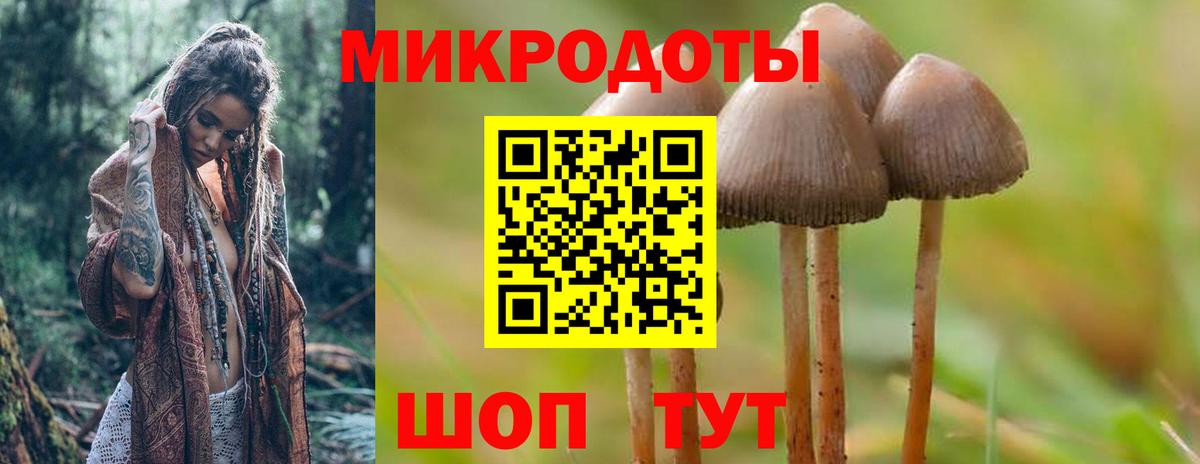 Тейково  закладки  Вход с VPN  Псилоцибиновые грибы GOLDEN TEACHER 