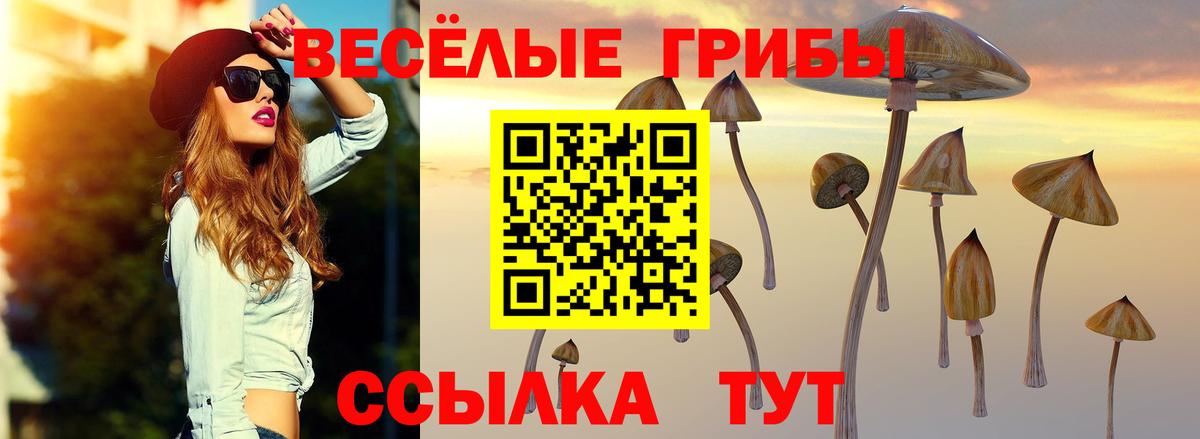 Псилоцибиновые грибы MAGIC MUSHROOMS Тейково